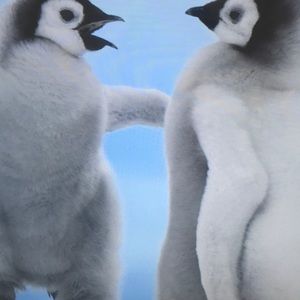 Meet your Posher, Steve